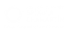 AFA Spínola Chamartín