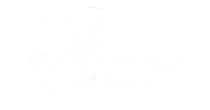 Spínola Solidaria